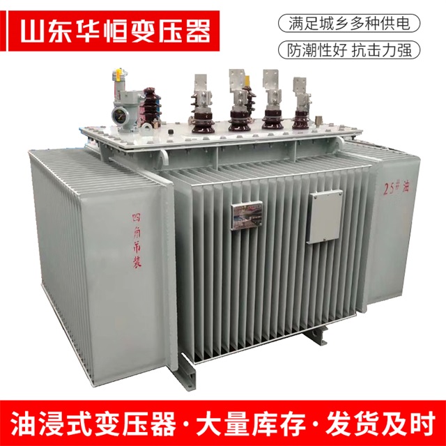 S13-10000/35长沙长沙长沙电力变压器厂家